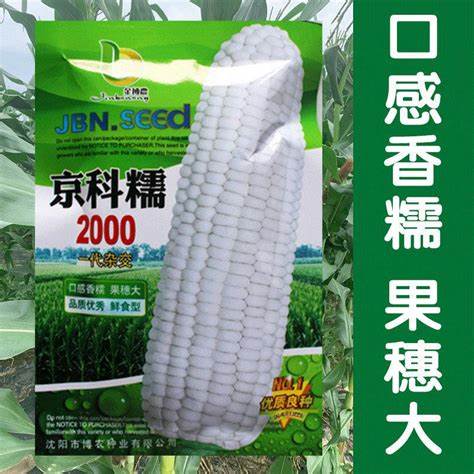 京科999玉米种是哪个公司的
