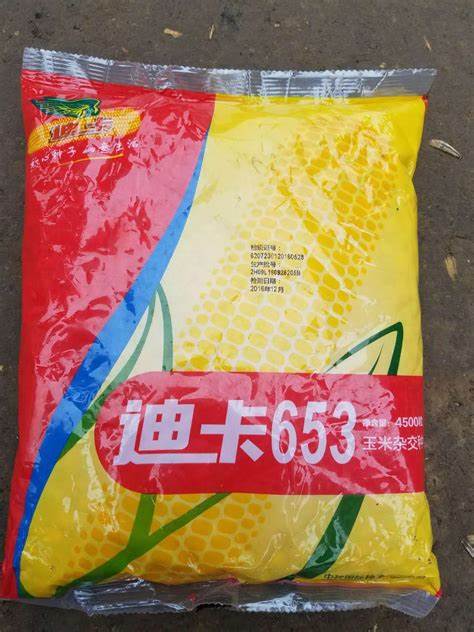 玉米种迪卡653是铁杆玉米吗