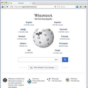 国内用户访问维基百科（Wikipedia）的几种方法「终于解决」 - 思创斯聊编程