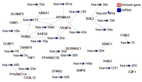 生命科学学院陆剑课题组揭示uORF和microRNA在基因表达调控中的共同作用