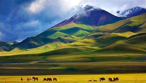 新疆南疆和北疆的区别到底是什么呢？