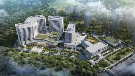 深圳市光明区科技创新局2023年11月公开招聘一般类岗位专干总成绩和体检公告