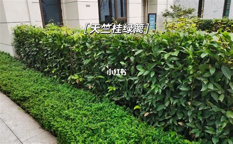伊本·海萨姆 的图像结果