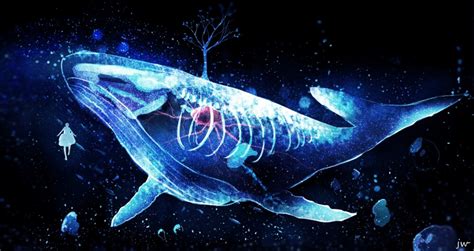 鲸落的发展可以分为哪四个阶段 - 知百科