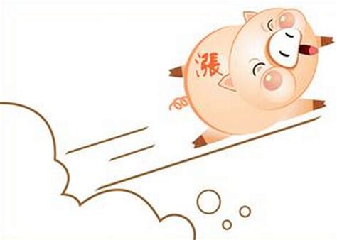 全国猪价涨声一片 生猪养殖公司将受益 | 中国动物保健·官网