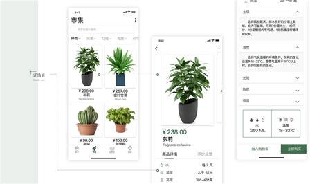 浅谈绿植盆栽APP现状——以御花园养花APP为例 - 脉脉