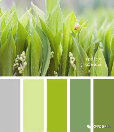 绿色跟什么色配好看 图片绿色和什么颜色搭配好看(4)_配图网
