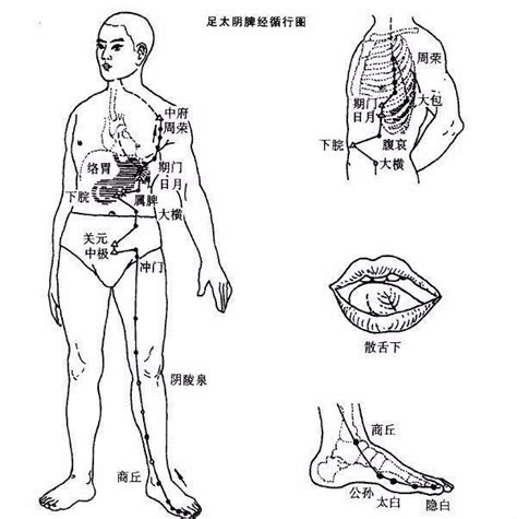 断红的准确位置图图片 断红的准确位置图图片