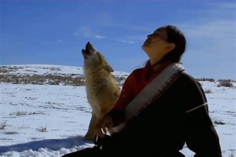 成都姑娘在草原救下一只小狼，养大后把它送回狼群_凤凰网视频_凤凰网