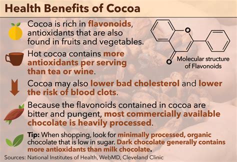 Cocoa Powder Facts, Health Benefits and Nutritional Value | Image ...