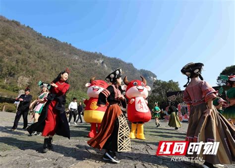 春节前七天，张家界市接待旅游总人数92.92万人次_湖南文旅_旅游频道