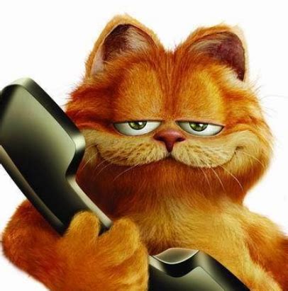 加菲猫剧情介绍-加菲猫上映时间-加菲猫演员表、导演一览-排行榜123网