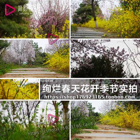 春天植物的变化图片,植物季相变化图手绘,春天的气候特征_大山谷图库