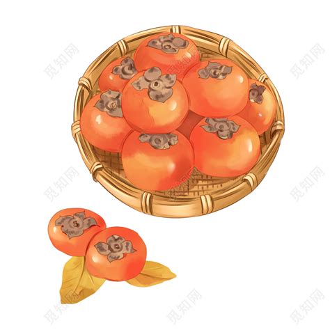 中国图库-植物-绘画水果
