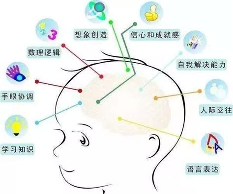广州青少年全脑开发培训课程-广州中小学生思维建构全脑开发学习冬令营-教育机构