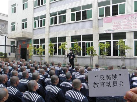 在上海青浦监狱 外籍服刑人员每天做什么？_手机新浪网
