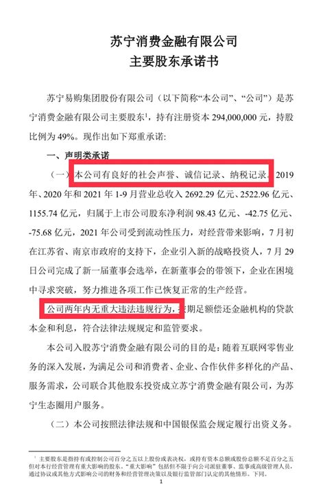 苏宁易购公布苏宁消费金融有限公司主要股东承诺书 - 拼客号