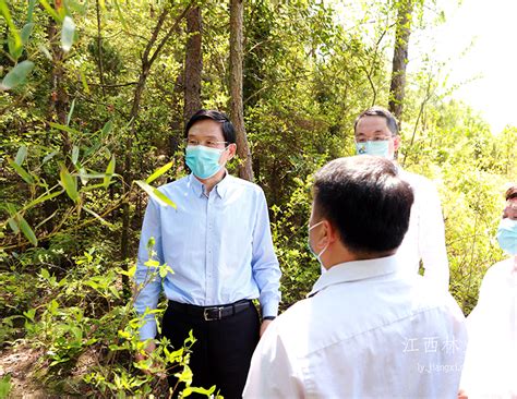 副省长陈小平在九江市调研自然资源和林业工作 | 信丰县信息公开