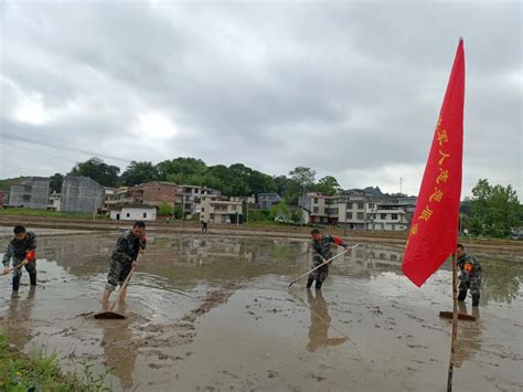 4月23日，对坊乡退役军人服务站助力早稻生产活动 | 宁都县信息公开
