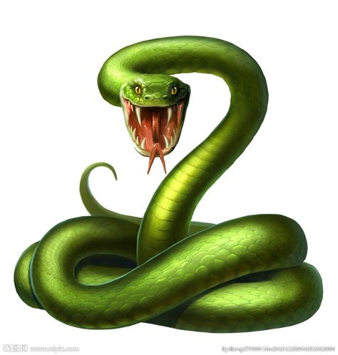 中国大陆都有哪些毒蛇品种？（图片）_奇象网