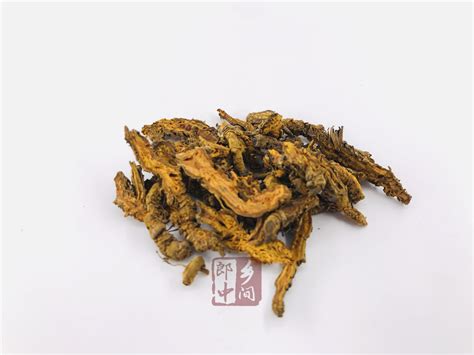 黄莲图片