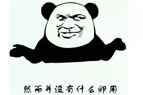 大道理表情包图片
