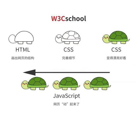 小白学前端：简单易懂的CSS_w3cschool