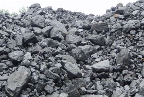 100多米厚的煤层是怎样形成的？远古地球上，植物真有那么多吗？_成煤_时期_地质