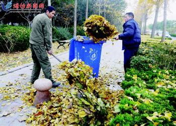 关注南京垃圾分类｜枯枝落叶回收制肥，绿化带上绘出“缤纷色彩”__财经头条