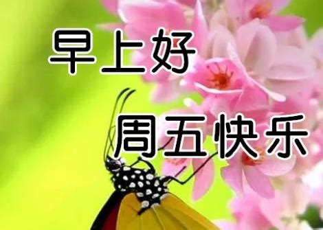 中午好大全图片