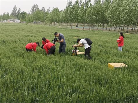 中国农业大学曲周实验站 党建工作 国家农业绿色发展研究院博士生赴曲周开展立德树人实践培训活动