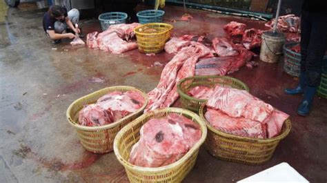 被任意宰割的“海上霸主”:鲨鱼宰杀现场血淋淋|文章|中国国家地理网