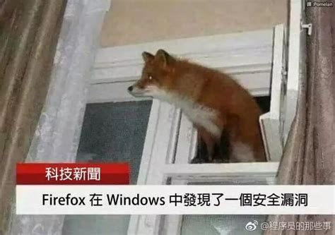 趣图：Firefox 在 Windows 发现了一个漏洞-CSDN博客