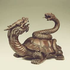 玄武龟图片