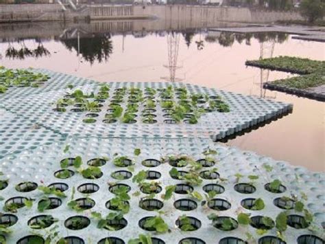 定制浮动湿地漂浮湿地浮岛人工生态浮岛人工浮岛水上浮床水生植物绿化|价格|厂家|多少钱-全球塑胶网