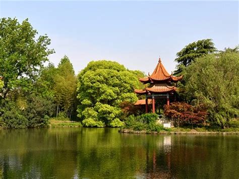 武汉青山公园，林木幽深岁月静好，真的太美了|青山公园|武汉|青山区_新浪新闻