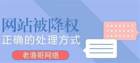 如何分辨网站优化是否被降权（一些关键的指标和技巧）-8848SEO