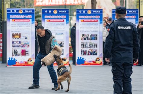 “可以放松一下了” 刚入警被分配到“女师傅”，他心中暗自高兴，没想到……-中国长安网