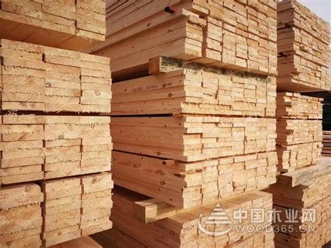 成都青白江进口木材贸易实现新跨越-木业网
