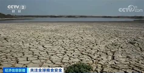 陕西山西河南旱灾严重 严重地块面临绝收[组图]_资讯_凤凰网