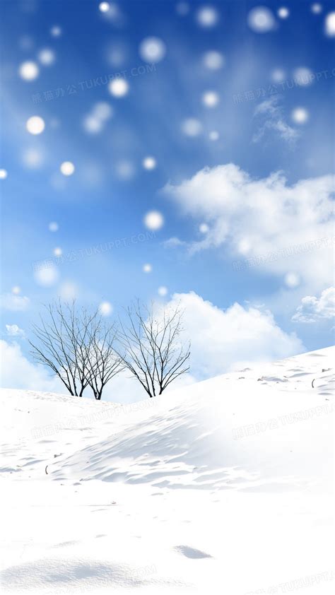 蓝色小寒飘雪节日海报设计模板下载_节日_图客巴巴