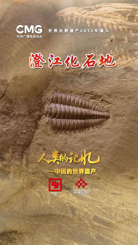 化石中的“山海谜经”——澄江化石地 - 化石网