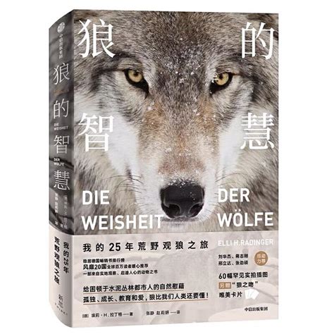 《狼的智慧》—读书笔记导图 - 知乎