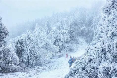 超级壮观！梅城乌龙山的雪景美爆了！