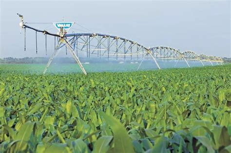 包晓斌：农业水资源可持续利用，高效节水是根本