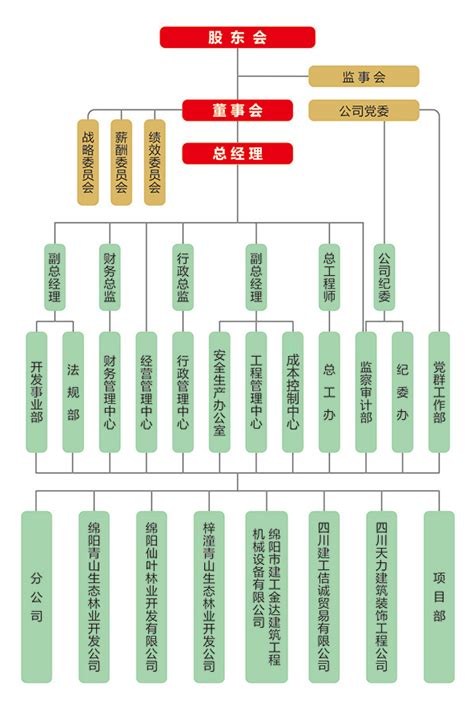 组织架构——四川建设工程集团股份有限公司
