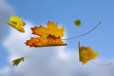 描写秋天的优美句子,秋天最短好句10个字,描写秋天的好句子简短_大山谷图库