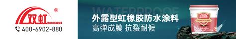 中国防水涂料十大品牌企业排名Word模板下载_编号lemgzbzx_熊猫办公