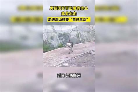 男孩因交不出暑假作业离家出走，走进深山称要“自己生活”_深山_男孩_生活