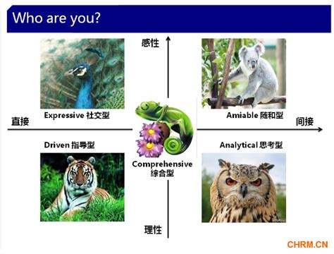 心理测试：四个动物，哪个动物的性格和你很相似？测你的人格属性|心理测试|人格|性格_新浪新闻